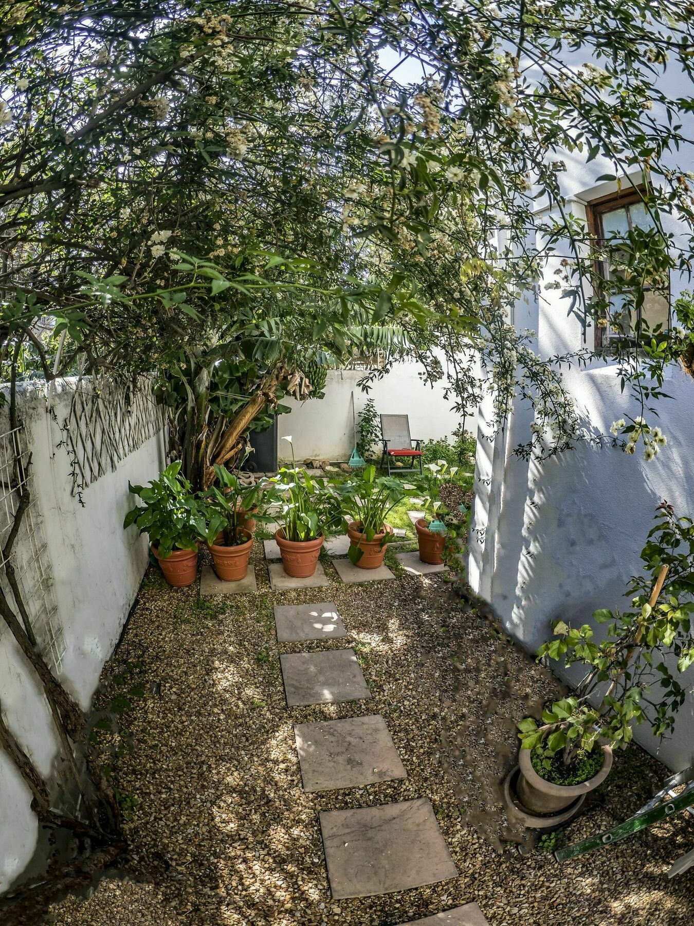 Bed and Breakfast The Vagabond Kapsztad Zewnętrze zdjęcie